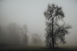 Fine Art Photography by Sabine Kneidinger