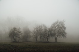  neidinger-PHOTOGRAPHY_Donau-Nebel_FineArtStories
