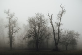  neidinger-PHOTOGRAPHY_Donau-Nebel_FineArtStories