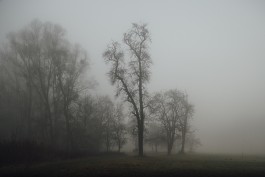  neidinger-PHOTOGRAPHY_Donau-Nebel_FineArtStories