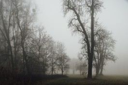  neidinger-PHOTOGRAPHY_Donau-Nebel_FineArtStories