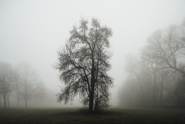  neidinger-PHOTOGRAPHY_Donau-Nebel_FineArtStories
